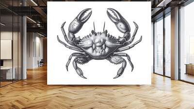 Seafood, crab. Vintage retro print, black white seafood crab sketch ink pencil style drawing, linear drawing, engrave old school. Sketch artwork silhouette crab, seafood. Illustration Wall mural