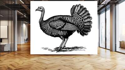 Turkey, sketch. Vintage retro print, turkey sketch ink pencil style drawing, linear drawing for Thanksgiving Day, engrave old school. Sketch artwork silhouette turkey. Side view profile. Illustration Wall mural