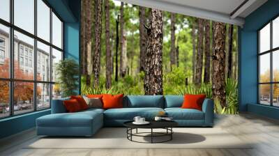 Florida woods Wall mural