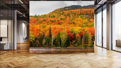 Fall scene in the Quebec cottage country with golden leaves and fall colors. Wall mural