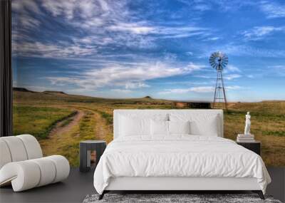 Texas water well and windmill Wall mural