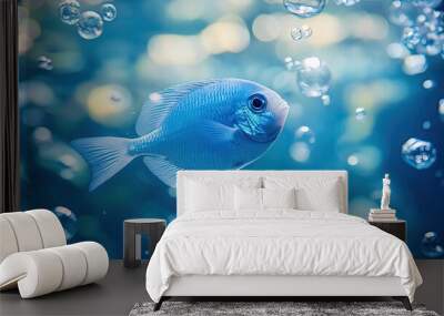 Blue Fish with Bubbles in a Blue Water Tank Wall mural