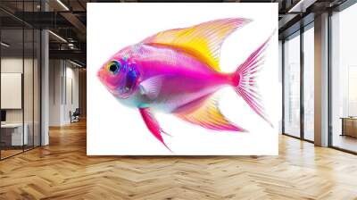 Pompano Fish Isolated Background Wall mural