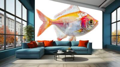 Pompano Fish Isolated Background Wall mural