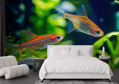 Two Colorful Neon Tetras Swimming in a Planted Aquarium Wall mural