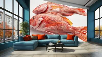 Two Red Snapper Fish on a White Background Wall mural