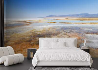 African salt lake Natural Landscape. , Top view. Wall mural