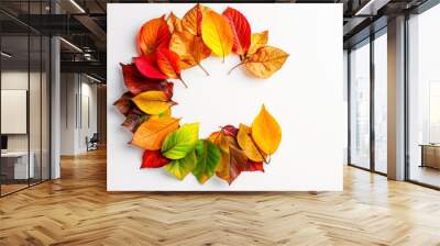 Autumn wreath leaves composition. Abstract nature concept with vivid colorful leaf arrangement. Minimal abstract Fall and Thanksgiving design. On white background. Flat lay copy space. Wall mural