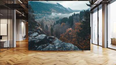 Beautiful mountain view with forests and rocks. Wall mural