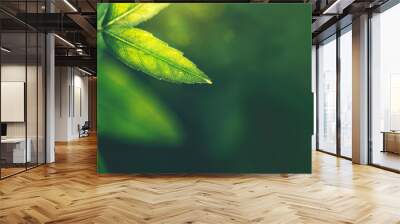 Green abstract arrow, natural design. Natural design, flyer layout. Wall mural