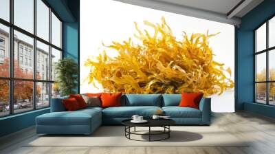 Irish sea moss, healthy organic raw seaweed, a close-up on a white background. Wall mural