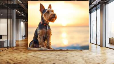 Portrait of welsh terrier dog sitting at sea shore at sunset. Wall mural