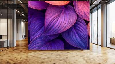 Vivid red toned leaf close up texture, Hosta plant purple leaves natural background, botanical pattern with organic shapes. Wall mural