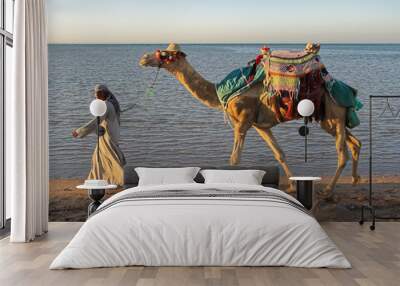 Camel on a beach Wall mural