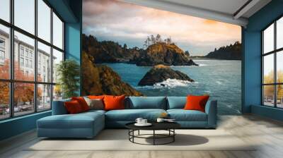 Coastal Views in the Pacific Northwest Wall mural