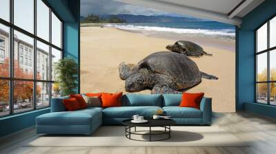 Two turtles in the sand in a beach in Hawaii Wall mural