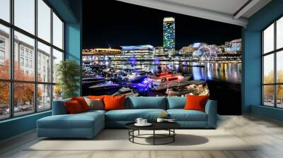 Sydney Darling Harbour Wall mural