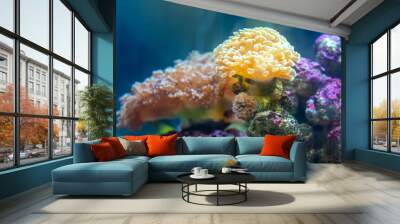 Beautiful coral reef in the aquarium Wall mural