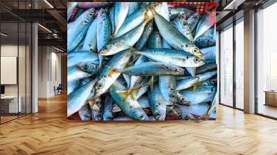 Freshly caught Scad fish for sale at a fresh seafood market in a central coastal fishing village in Vietnam Wall mural