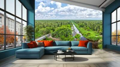 melaleuca forests in u minh panorama with hundreds of hectares of mangrove forest cover, is the larg Wall mural