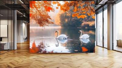 A pair of majestic white swans swimming in a tranquil lake surrounded by autumn foliage Wall mural