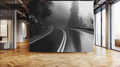 road in winter.black asphalt road and white dividing lines. Wall mural