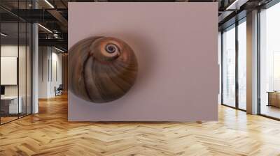 shell Wall mural