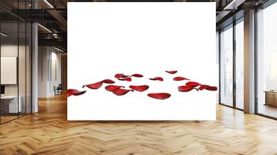 3D rendered illustration with red petals on the ground isolated on transparent background Wall mural