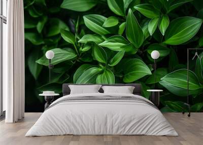 Green tropical plant Wall mural