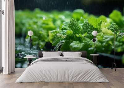 Fresh Hydroponic Lettuce Under Gentle Rain in a Lush Greenhouse Environment Wall mural