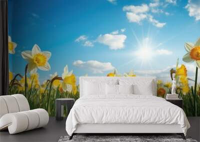 Bright yellow daffodils in lush spring field Wall mural