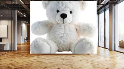 teddy bear isolated on white Wall mural