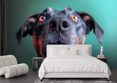 Dog portrait closeup showing intense eyes and nose focus with a detailed gaze and expressive face. Wall mural