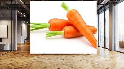 Three carrot isolated on withe background Wall mural