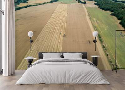 a drone view of how, an agricultural machine in the field harvests golden ripe wheat. harvesting mac Wall mural