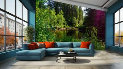 A variety of summer forest landscapes with rivers. Wall mural