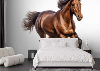 horse runs gallop isolated on white Wall mural