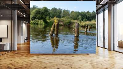 old wooden piles in the river Wall mural