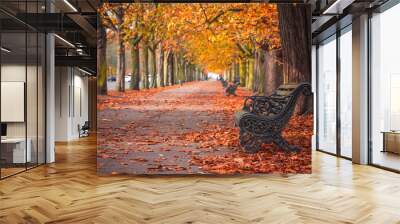 tree lined autumn scene in greenwich park, london Wall mural