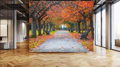 Tree lined autumn scene in Greenwich park, London Wall mural