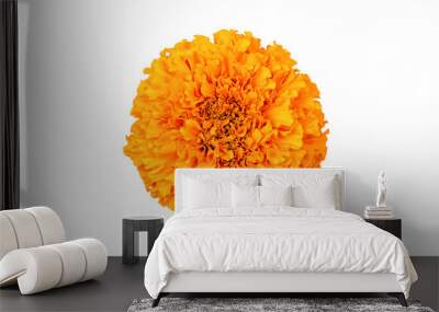 Marigold flower isolated on a white background. Decorative element for design Day of the Dead and Indian holidays. Flat lay Wall mural