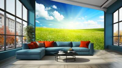 field of daisies Wall mural