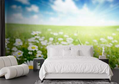 field of daisy flowers Wall mural