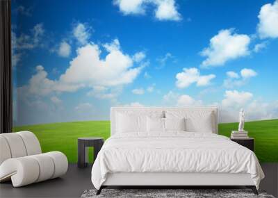 field of grass and perfect sky Wall mural