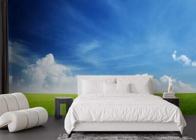 field of grass and perfect sky Wall mural