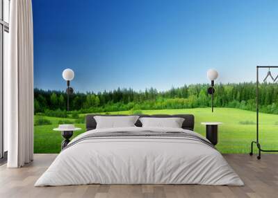 field of grass and perfect sky Wall mural