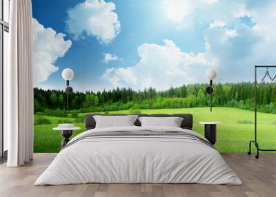 field of grass and perfect sky Wall mural