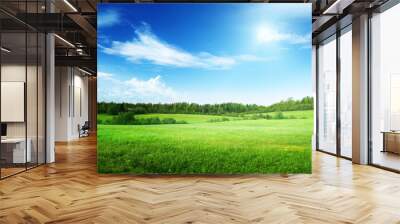 field of grass and perfect sky Wall mural