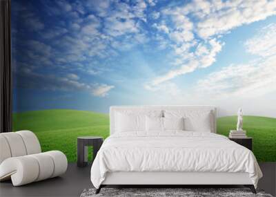 field of grass and perfect sunset sky Wall mural