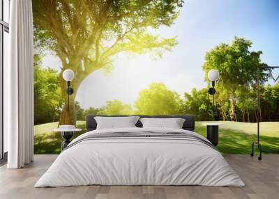 field of grass and trees Wall mural